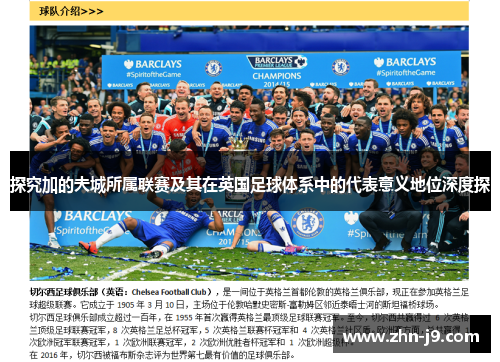 探究加的夫城所属联赛及其在英国足球体系中的代表意义地位深度探 探究加的夫城所属联赛及其在英国足球体系中的代表意义地位深度探