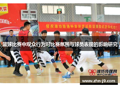篮球比赛中观众行为对比赛氛围与球员表现的影响研究
